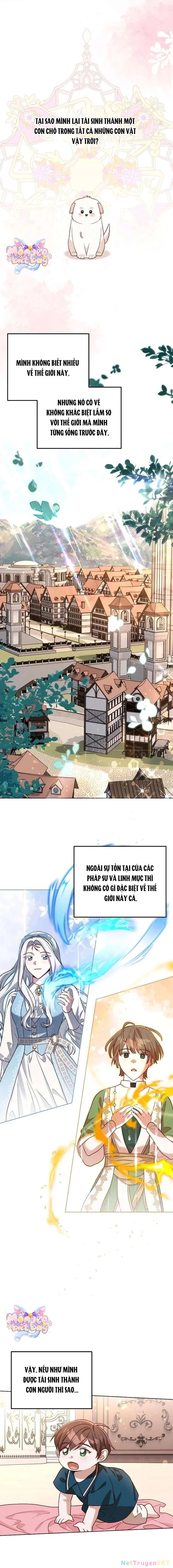 Chú Cún Cưng Của Hoàng Đế Chapter 10 - Trang 2