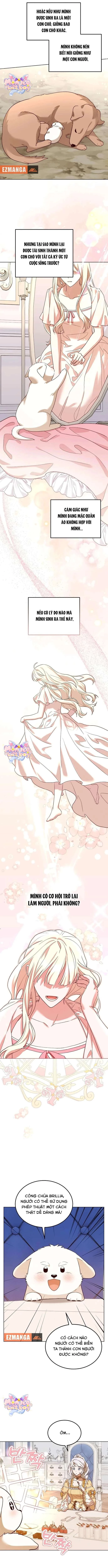 Chú Cún Cưng Của Hoàng Đế Chapter 10 - Trang 2
