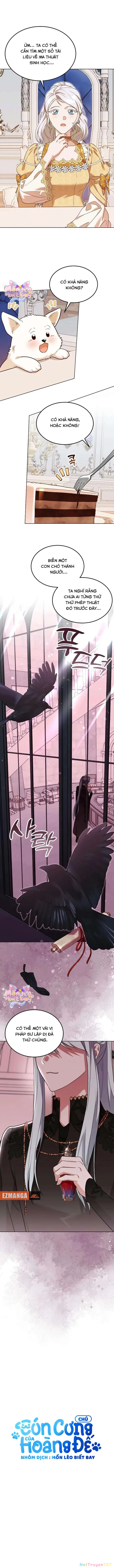 Chú Cún Cưng Của Hoàng Đế Chapter 10 - Trang 2