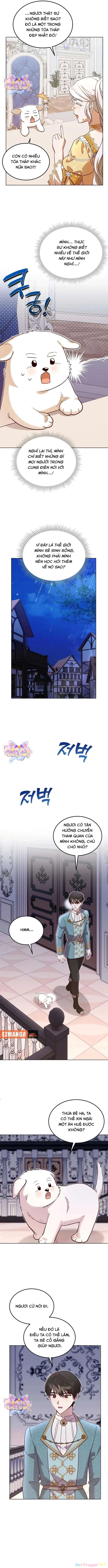 Chú Cún Cưng Của Hoàng Đế Chapter 10 - Trang 2