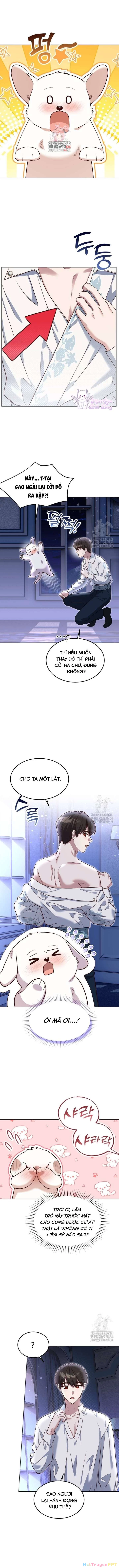 Chú Cún Cưng Của Hoàng Đế Chapter 14 - Trang 2
