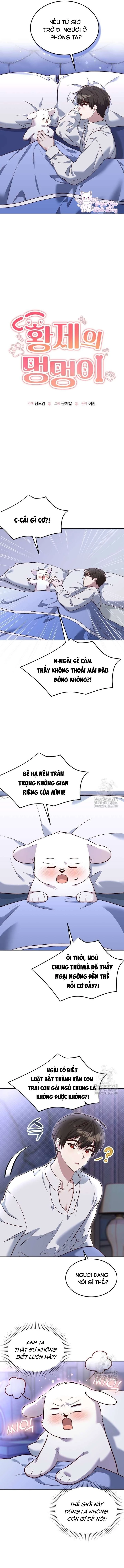 Chú Cún Cưng Của Hoàng Đế Chapter 14 - Trang 2