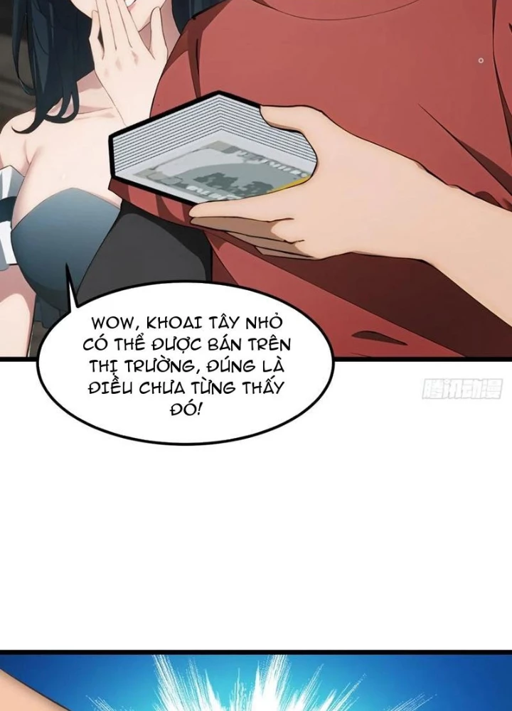 Thần Long Đi Trốn, Xui Xẻo Gặp Nữ Đế Đi Theo Giúp Ta Chăn Heo Chapter 50 - Trang 2