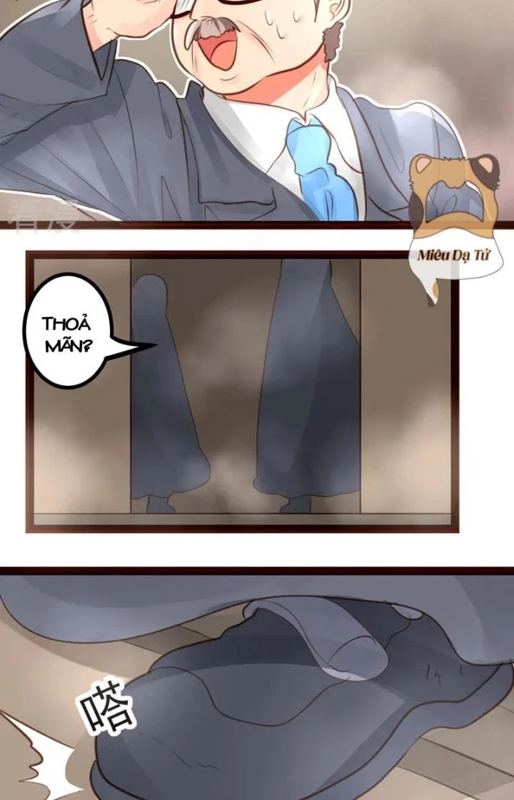 Xuyên Nhanh Chi Xà Phòng Trêu Người Chapter 51 - Trang 2