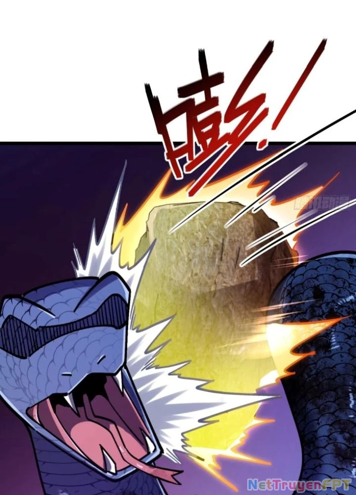 Sư Phụ Của Ta Mỗi Khi Đến Đại Nạn Mới Đột Phá Chapter 142 - Trang 2