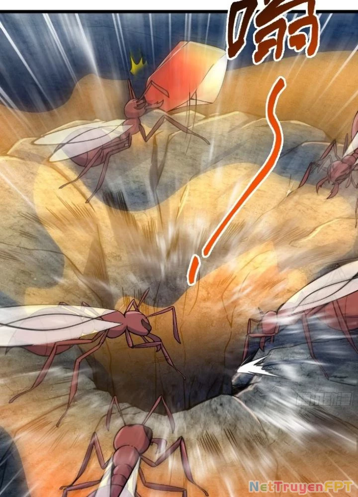 Sư Phụ Của Ta Mỗi Khi Đến Đại Nạn Mới Đột Phá Chapter 147 - Trang 2