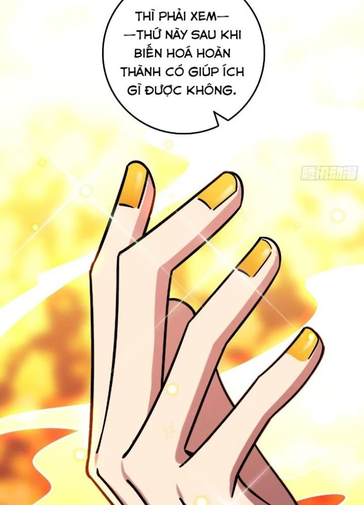 Sư Phụ Của Ta Mỗi Khi Đến Đại Nạn Mới Đột Phá Chapter 153 - Trang 2