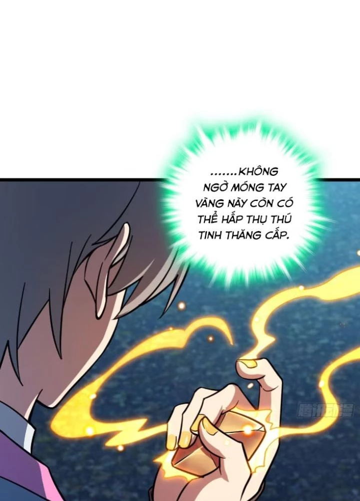 Sư Phụ Của Ta Mỗi Khi Đến Đại Nạn Mới Đột Phá Chapter 154 - Trang 2