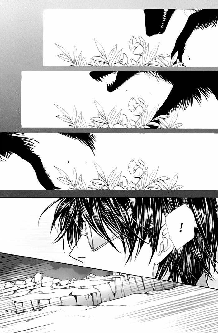 Kim Cương Bạc Chapter 19 - Trang 2