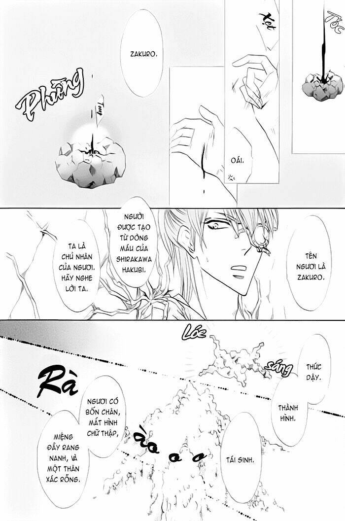 Kim Cương Bạc Chapter 19 - Trang 2