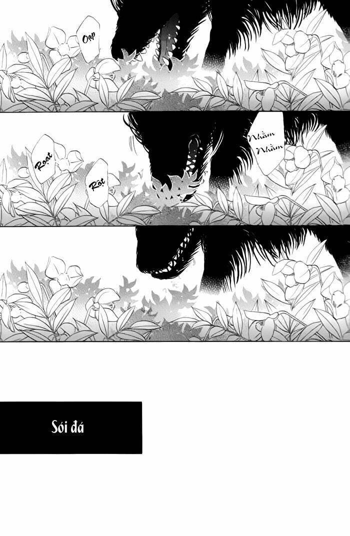 Kim Cương Bạc Chapter 19 - Trang 2