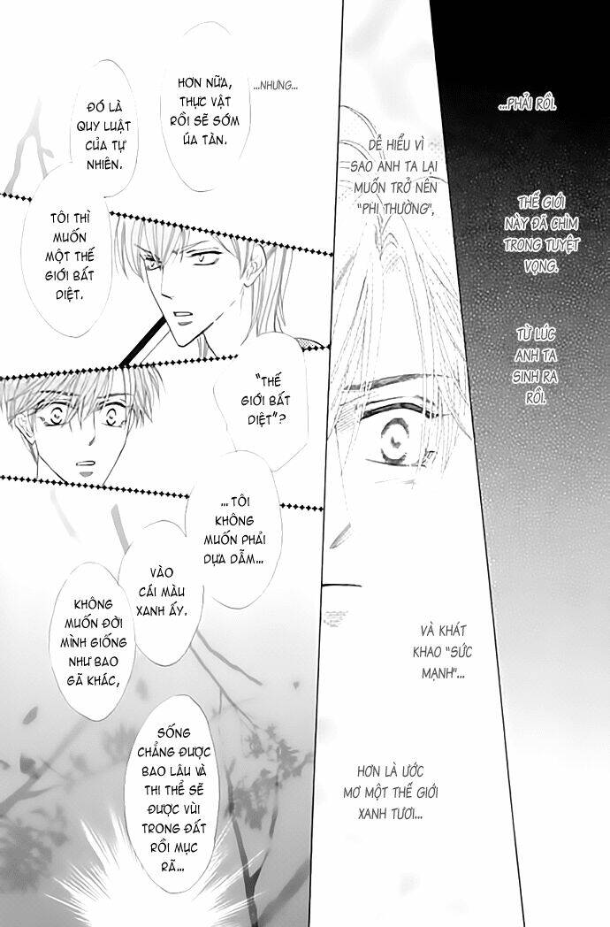 Kim Cương Bạc Chapter 20 - Trang 2