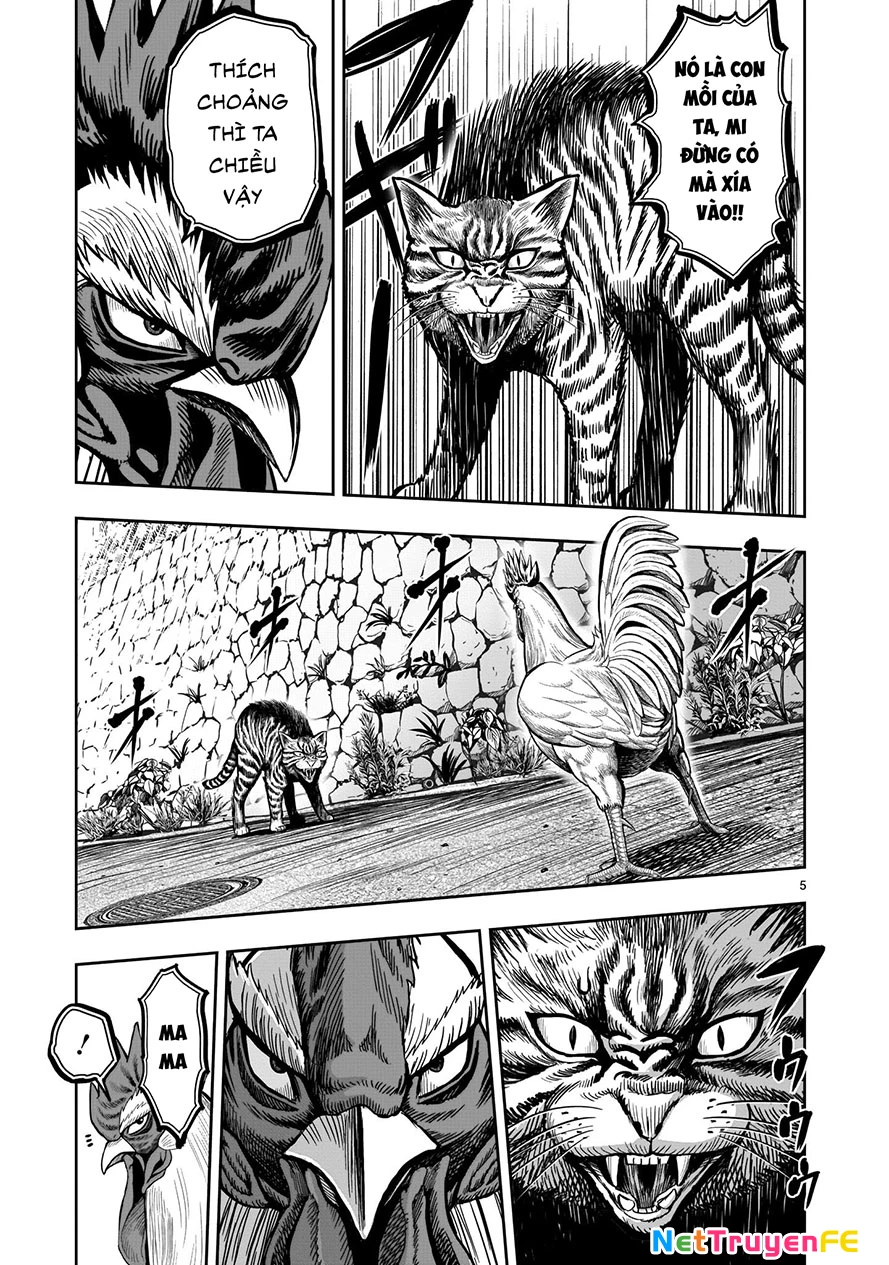 Cự Kê Chiến Ký Chapter 9 - Trang 2