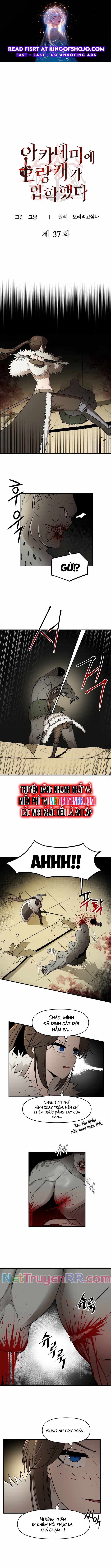 Kẻ Man Rợ Bước Vào Học Viện Danh Giá Chapter 37 - Trang 2
