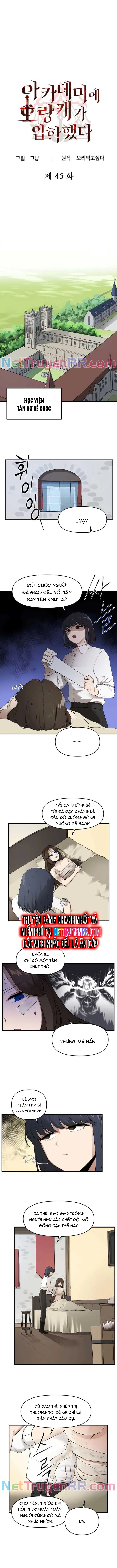 Kẻ Man Rợ Bước Vào Học Viện Danh Giá Chapter 45 - Trang 2