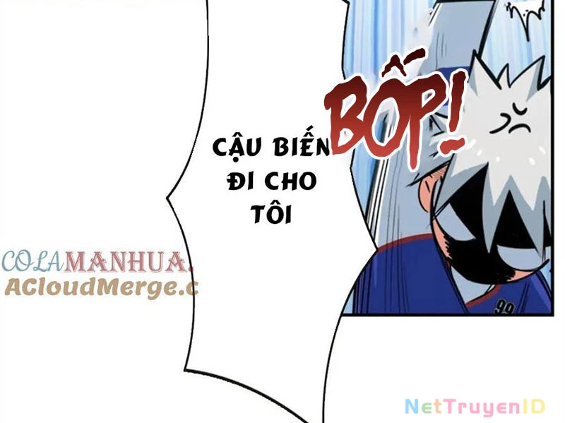 Vương Bài Trên Băng Chapter 21 - Trang 2