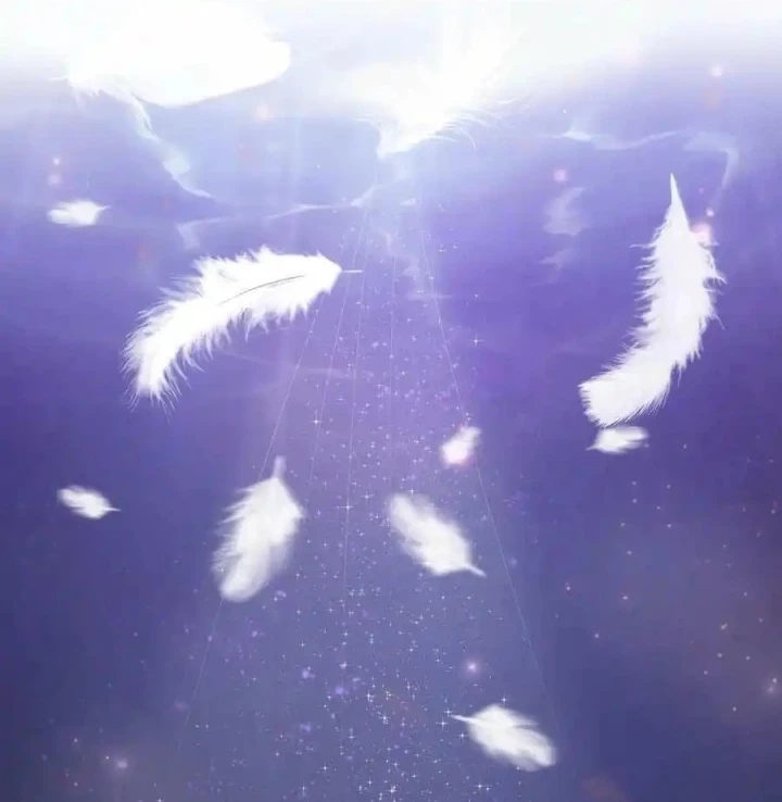 Tôi Là Bạn Gái Của Tôi?! Chapter 105 - Trang 2