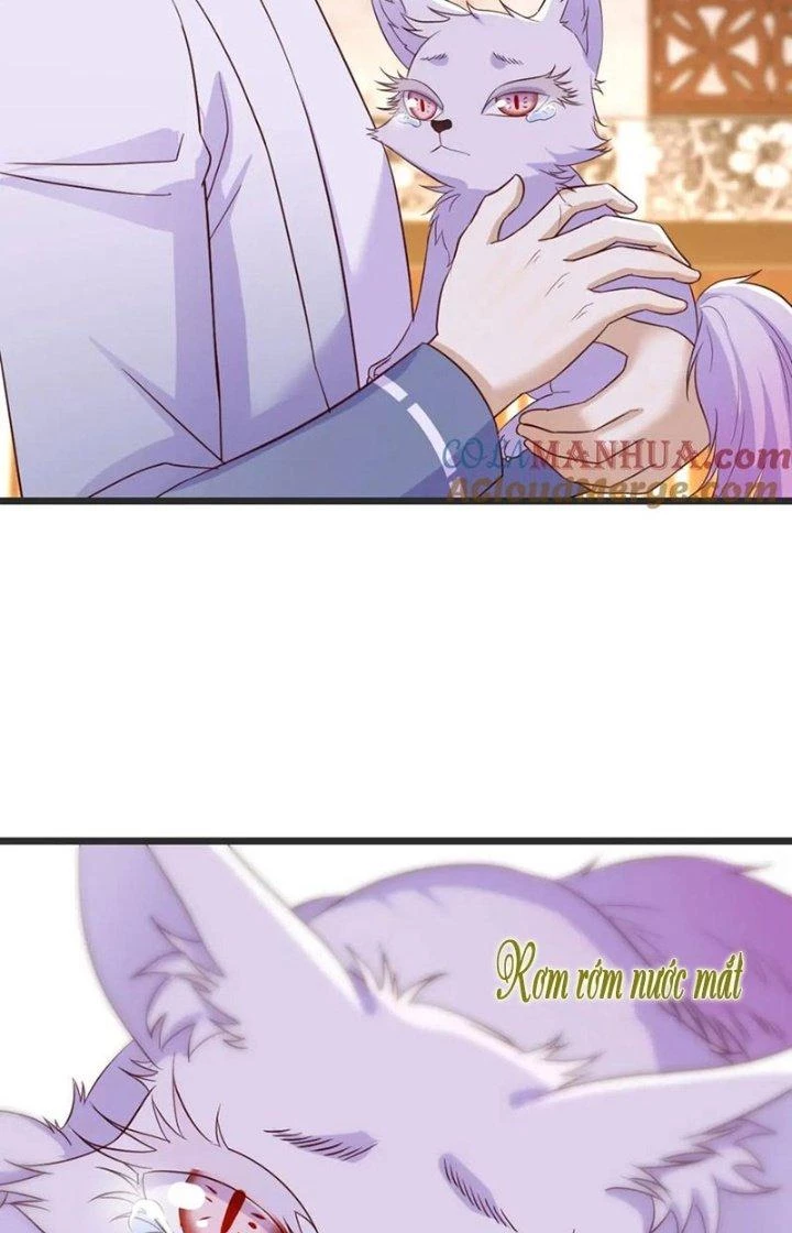 Trước Khi Vô Địch Ta Nợ Tình Quá Nhiều Chapter 109 - Trang 2