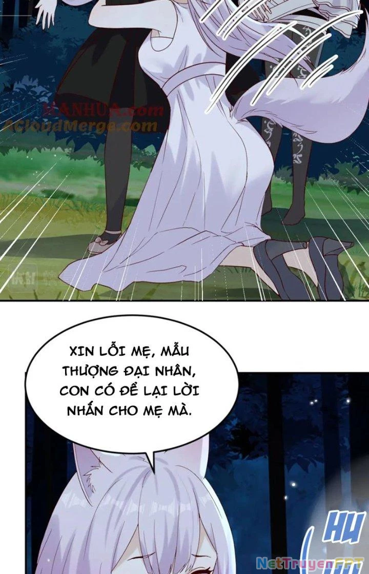 Trước Khi Vô Địch Ta Nợ Tình Quá Nhiều Chapter 114 - Trang 2