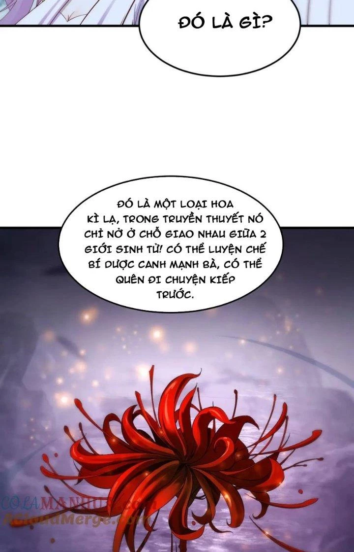 Trước Khi Vô Địch Ta Nợ Tình Quá Nhiều Chapter 115 - Trang 2