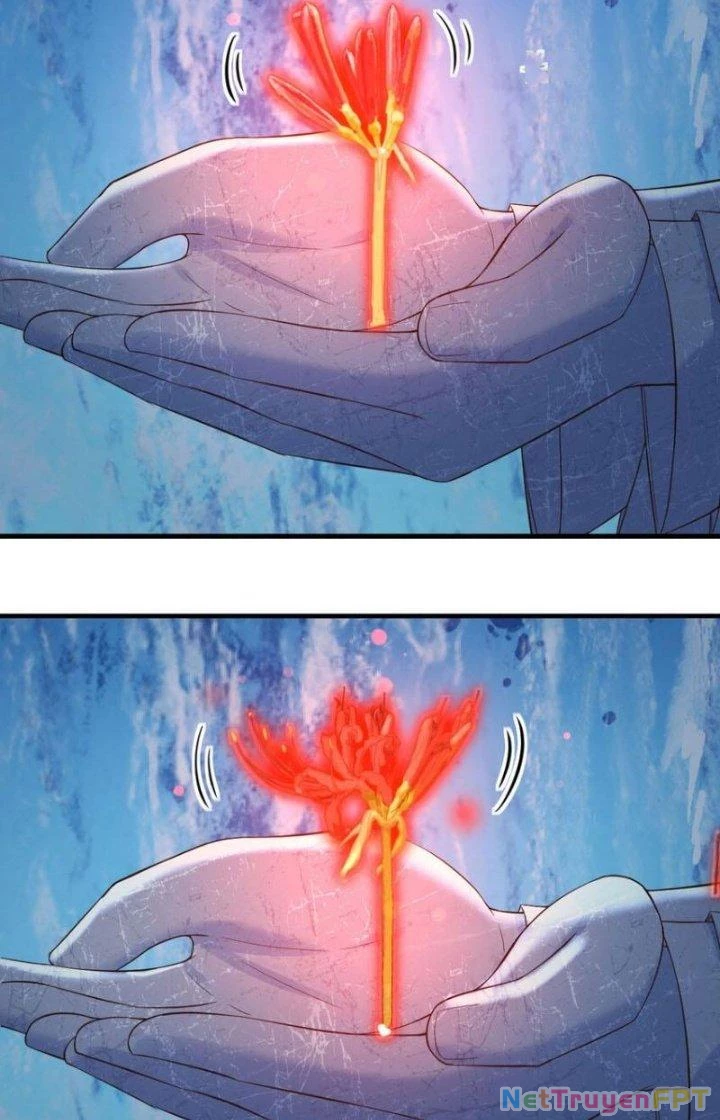 Trước Khi Vô Địch Ta Nợ Tình Quá Nhiều Chapter 121 - Trang 2