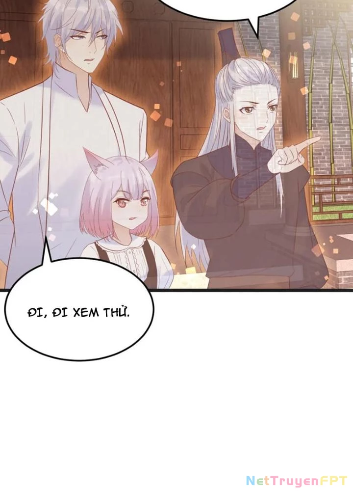 Trước Khi Vô Địch Ta Nợ Tình Quá Nhiều Chapter 135 - Trang 2