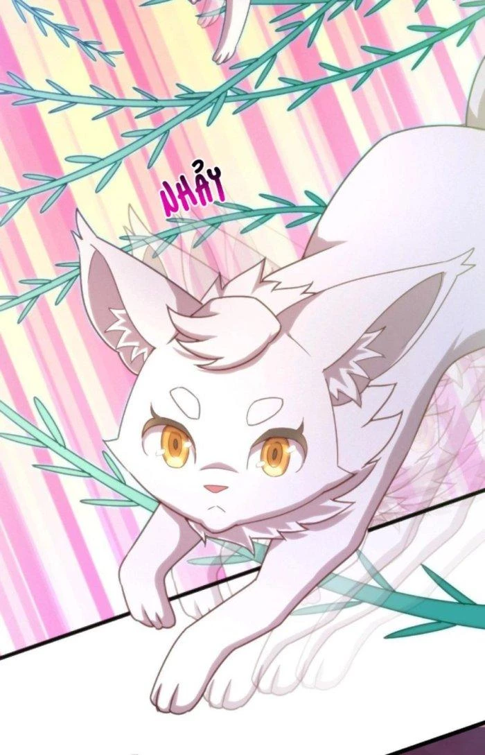 Thẻ Bài Của Ta Có Thể Vô Hạn Cường Hoá Chapter 8 - Trang 2