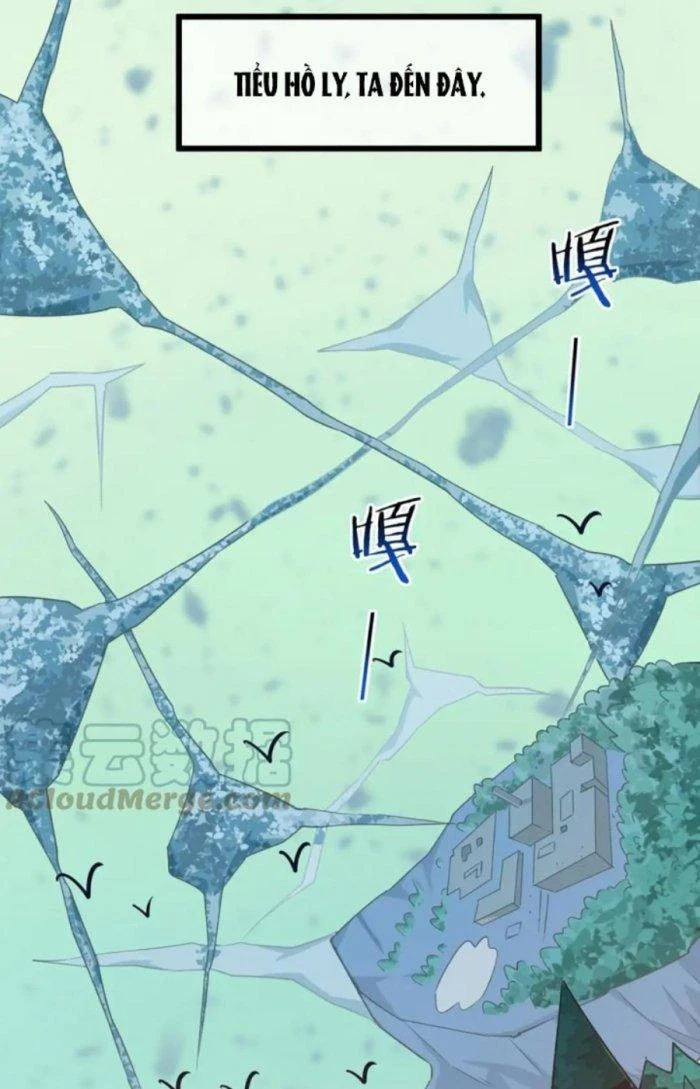 Thẻ Bài Của Ta Có Thể Vô Hạn Cường Hoá Chapter 14 - Trang 2