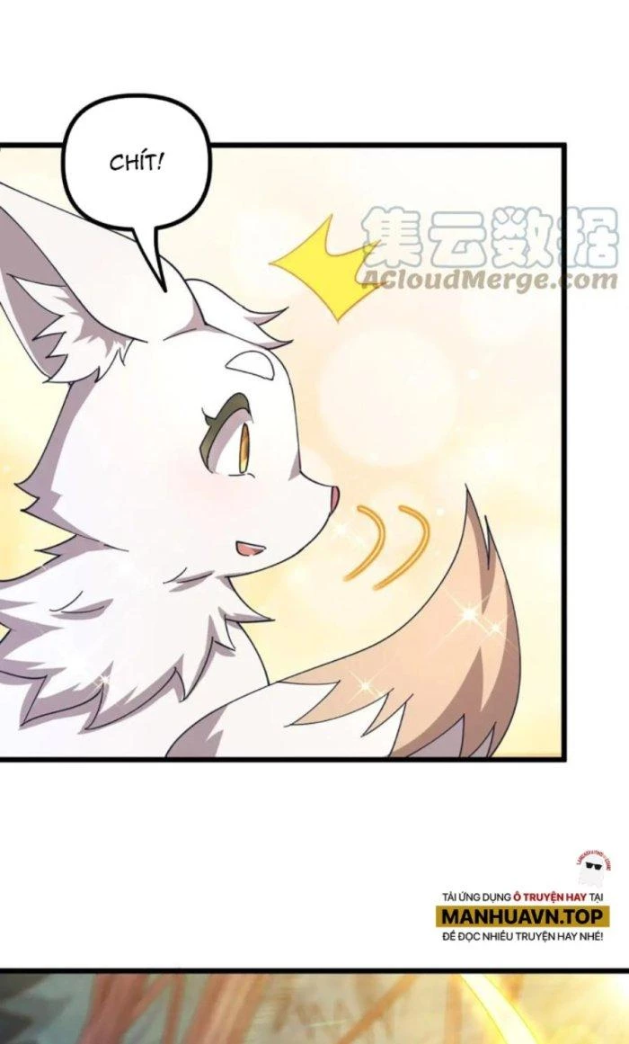 Thẻ Bài Của Ta Có Thể Vô Hạn Cường Hoá Chapter 14 - Trang 2