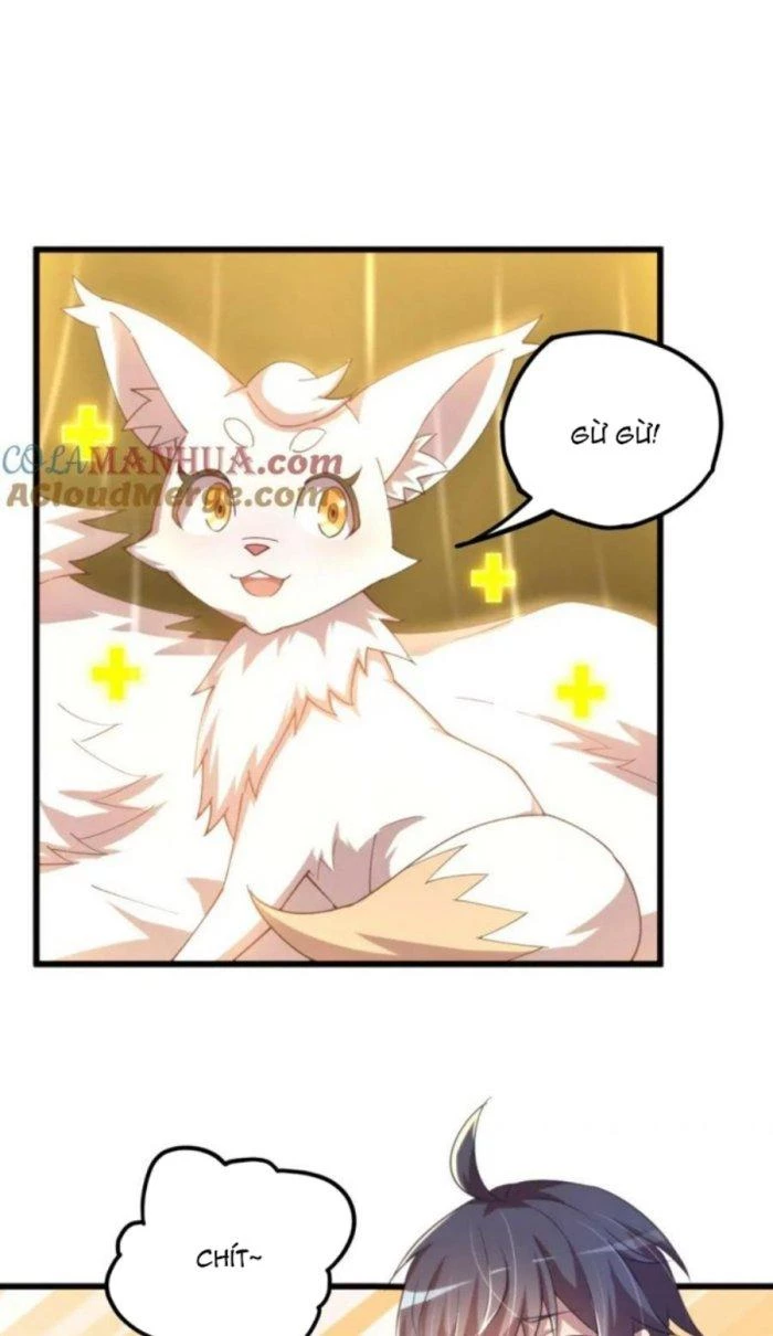 Thẻ Bài Của Ta Có Thể Vô Hạn Cường Hoá Chapter 15 - Trang 2