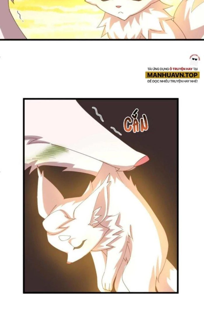 Thẻ Bài Của Ta Có Thể Vô Hạn Cường Hoá Chapter 16 - Trang 2