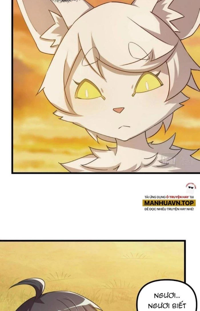Thẻ Bài Của Ta Có Thể Vô Hạn Cường Hoá Chapter 16 - Trang 2