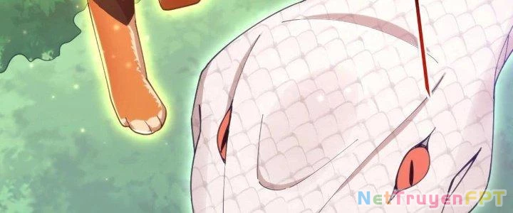 Thẻ Bài Của Ta Có Thể Vô Hạn Cường Hoá Chapter 17 - Trang 2