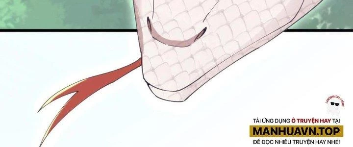 Thẻ Bài Của Ta Có Thể Vô Hạn Cường Hoá Chapter 17 - Trang 2