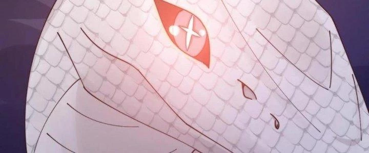 Thẻ Bài Của Ta Có Thể Vô Hạn Cường Hoá Chapter 18 - Trang 2