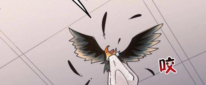 Thẻ Bài Của Ta Có Thể Vô Hạn Cường Hoá Chapter 18 - Trang 2