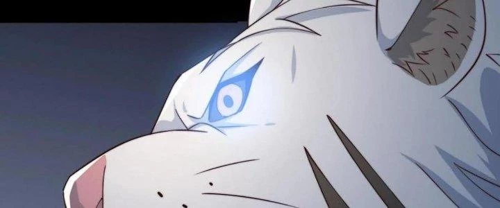 Thẻ Bài Của Ta Có Thể Vô Hạn Cường Hoá Chapter 18 - Trang 2