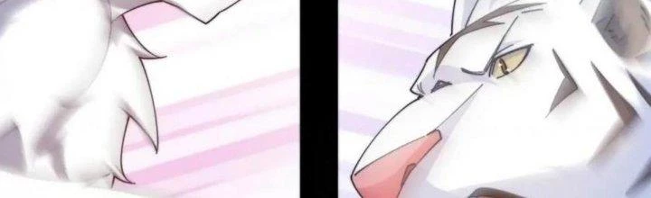 Thẻ Bài Của Ta Có Thể Vô Hạn Cường Hoá Chapter 19 - Trang 2