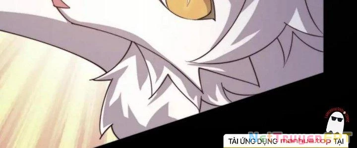 Thẻ Bài Của Ta Có Thể Vô Hạn Cường Hoá Chapter 19 - Trang 2