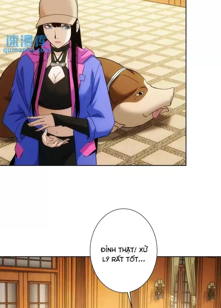 Ta Có Thể Thấy Tỉ Lệ Thành Công Chapter 232 - Trang 2