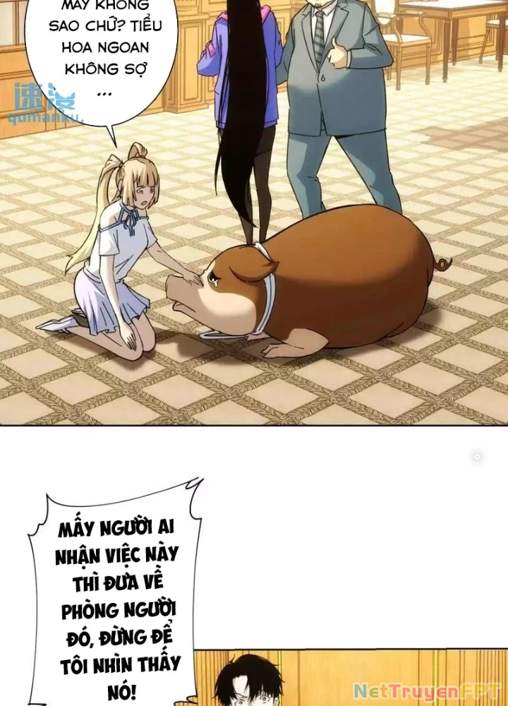 Ta Có Thể Thấy Tỉ Lệ Thành Công Chapter 232 - Trang 2