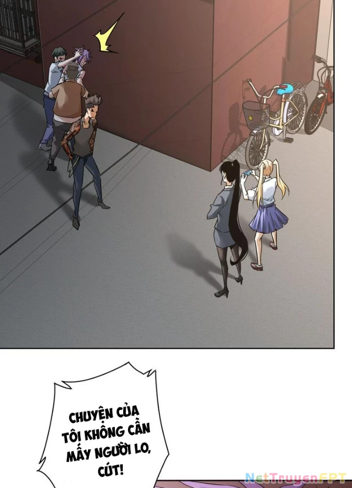 Ta Có Thể Thấy Tỉ Lệ Thành Công Chapter 237 - Trang 2