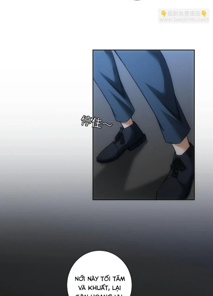 Ta Có Thể Thấy Tỉ Lệ Thành Công Chapter 239 - Trang 2