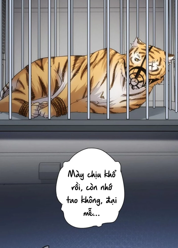 Ta Có Thể Thấy Tỉ Lệ Thành Công Chapter 253 - Trang 2