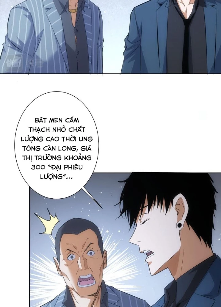 Ta Có Thể Thấy Tỉ Lệ Thành Công Chapter 258 - Trang 2