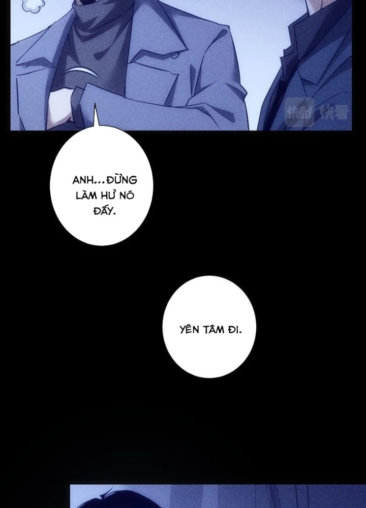 Ta Có Thể Thấy Tỉ Lệ Thành Công Chapter 267 - Trang 2