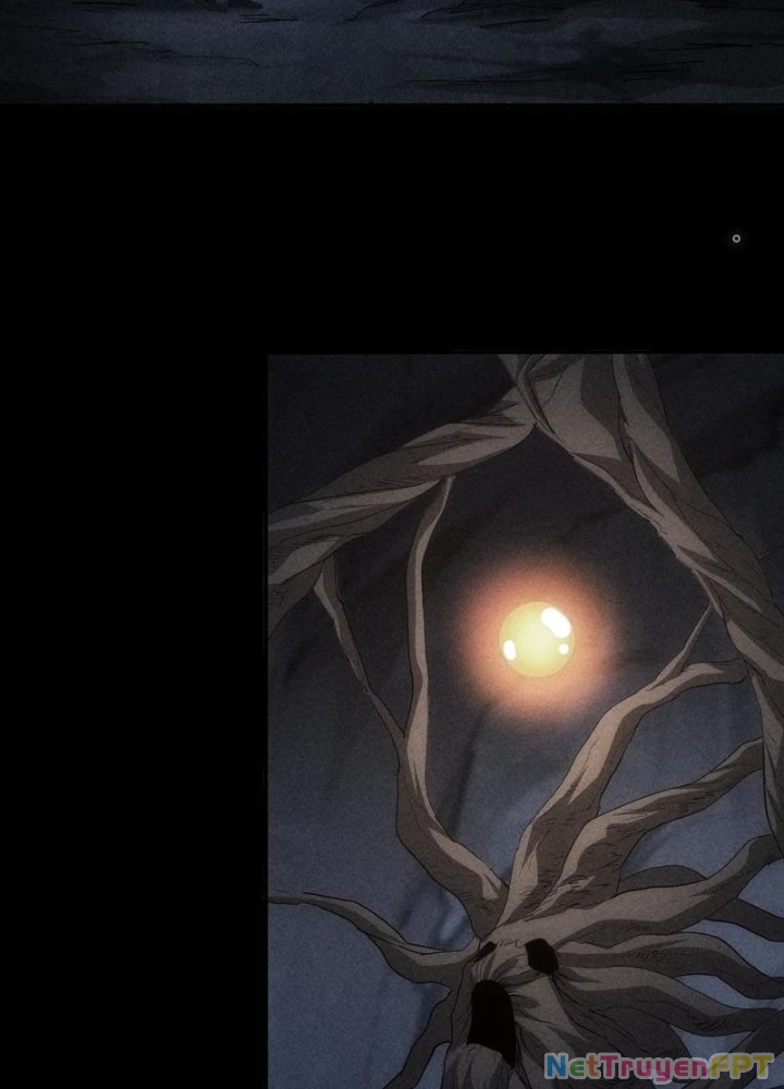 Ta Có Thể Thấy Tỉ Lệ Thành Công Chapter 311 - Trang 2