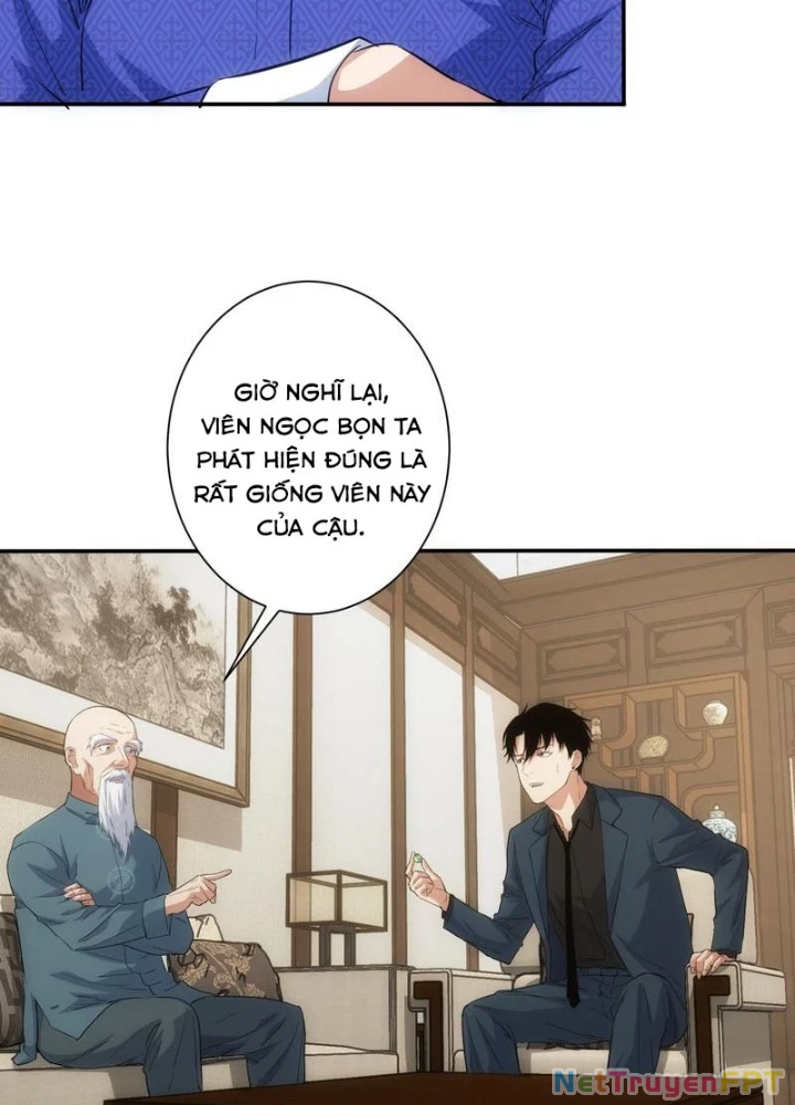 Ta Có Thể Thấy Tỉ Lệ Thành Công Chapter 311 - Trang 2