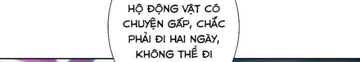 Ta Có Thể Thấy Tỉ Lệ Thành Công Chapter 326 - Trang 2
