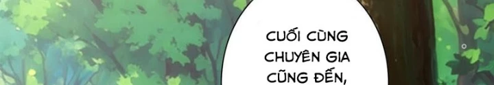 Ta Có Thể Thấy Tỉ Lệ Thành Công Chapter 327 - Trang 2